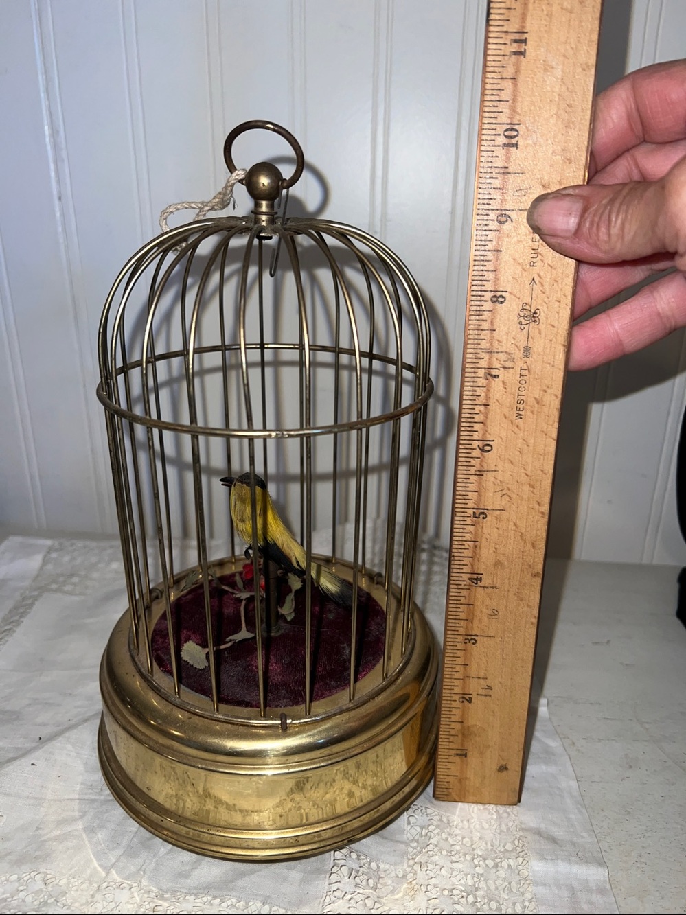 Early 20th Century Musical Bird Automaton - Picture 8 of 8